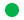 inl_green_circle.jpg