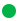 inl_opened_perforation.png